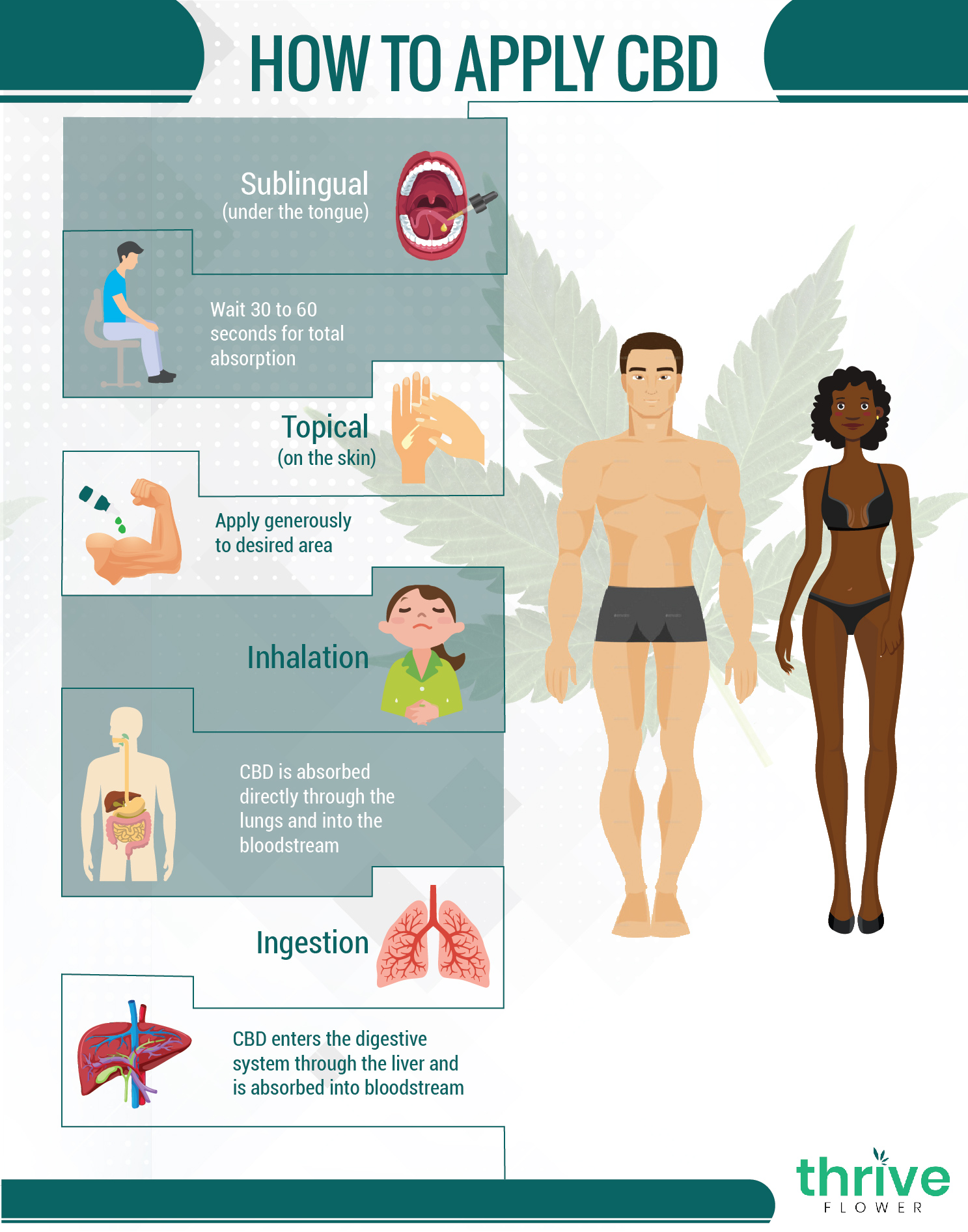 Cannabis Application Methods
