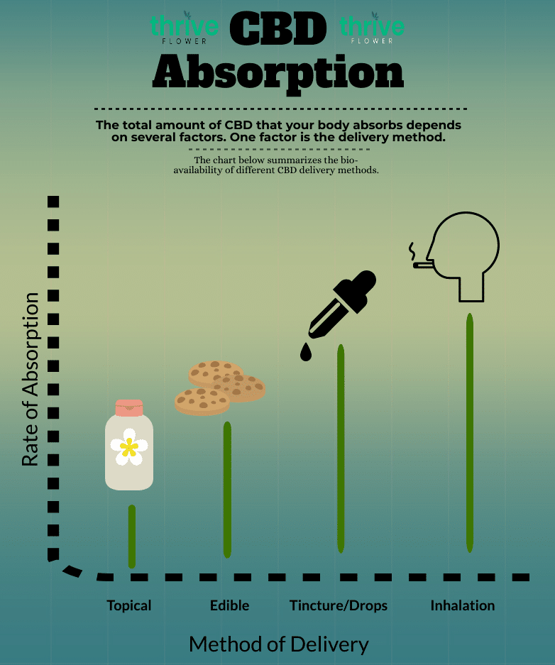 CBD Bio Availability