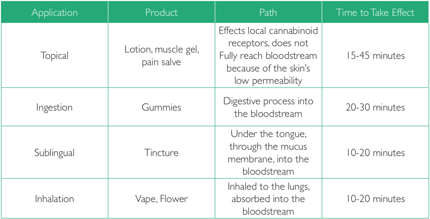 how long does CBD take to work