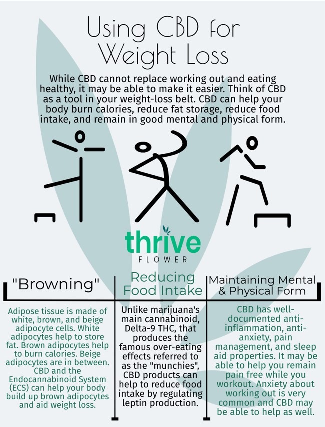 cbd for weight loss