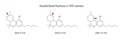 Delta 10 THC Chemical Bond