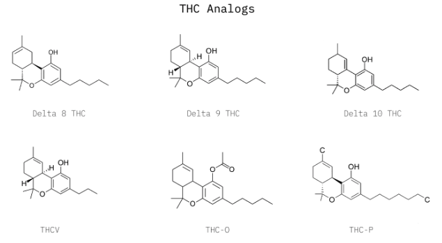 THC analogs