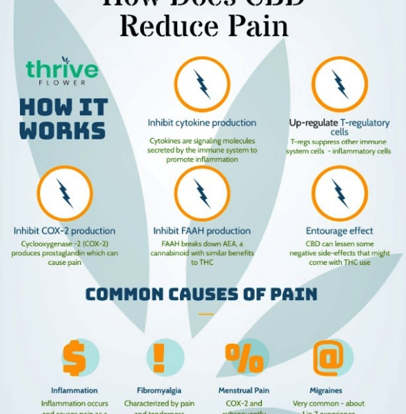 does cbd help with pain