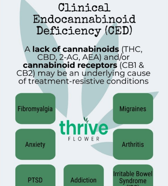 Endocannabinoid Deficiency