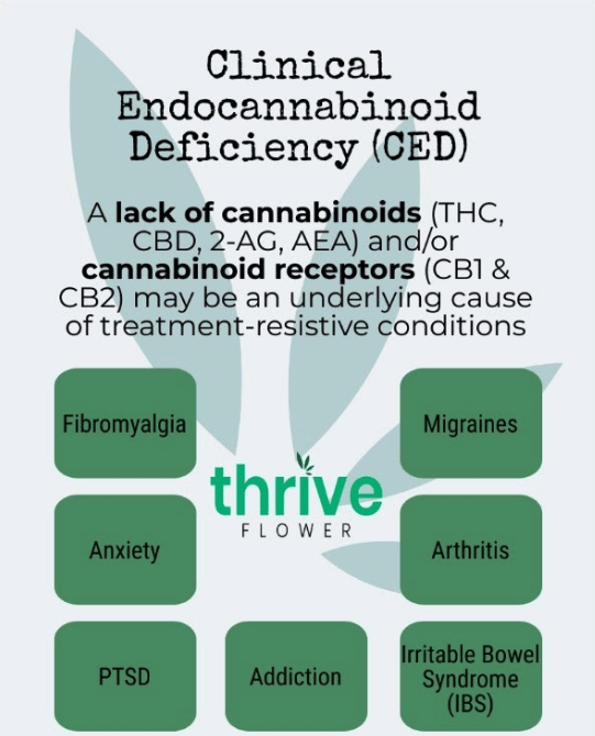 What is Endocannabinoid Deficiency?
