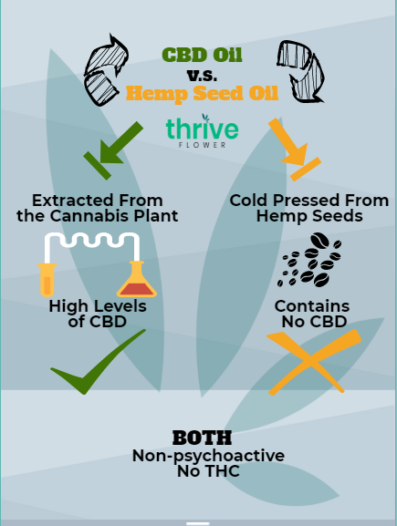 The Huge Differences Between Hemp Oil vs CBD Oil