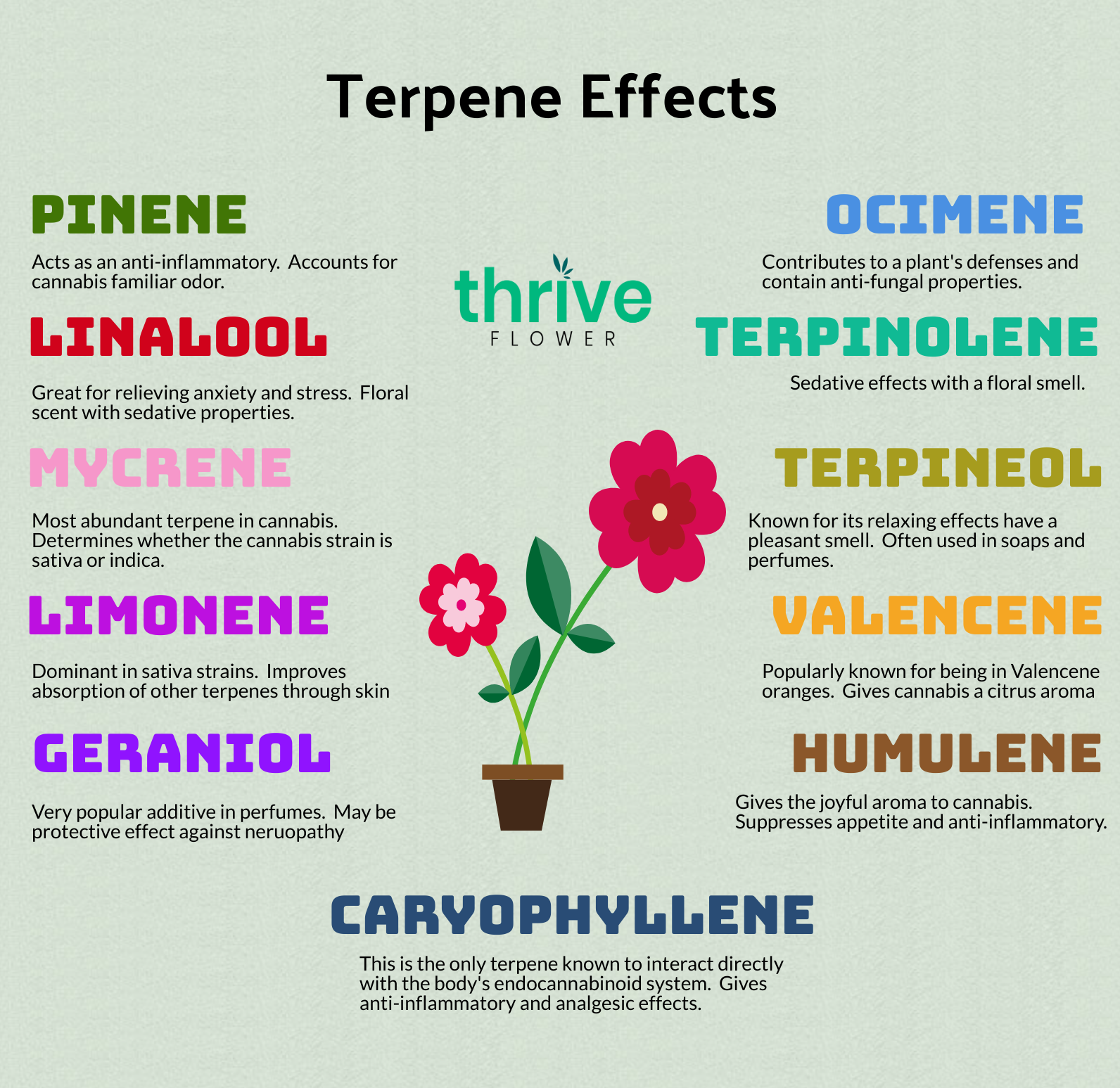 effects of terpenes
