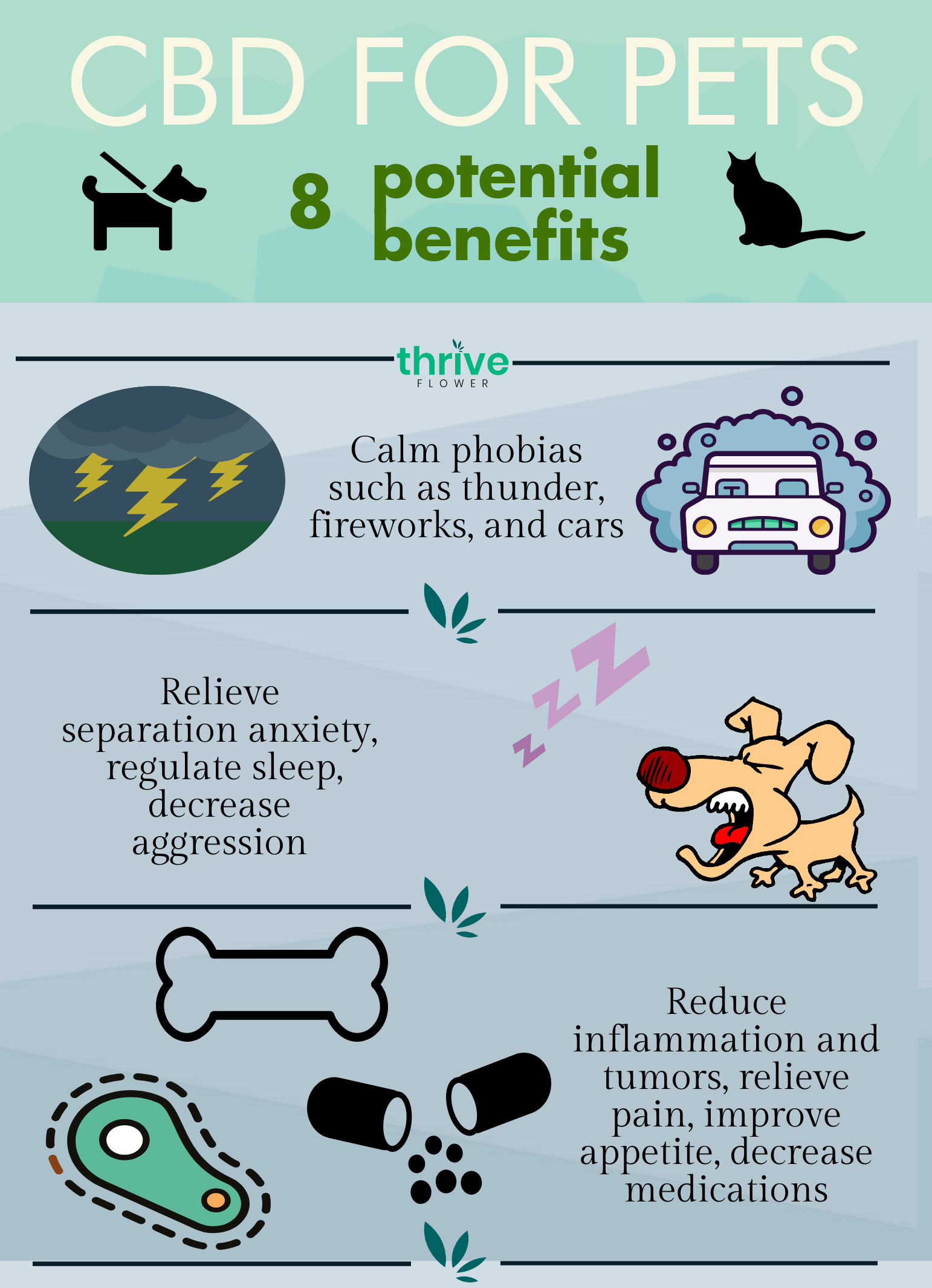 cbd for pets
